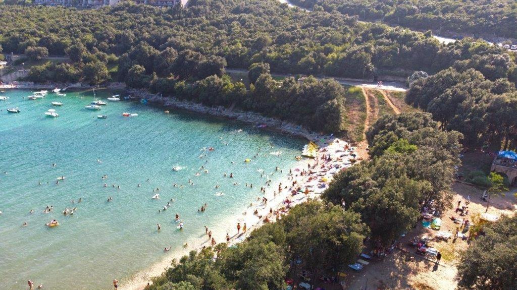 Holiday Home Elvis, Village Kujici Hreljići エクステリア 写真